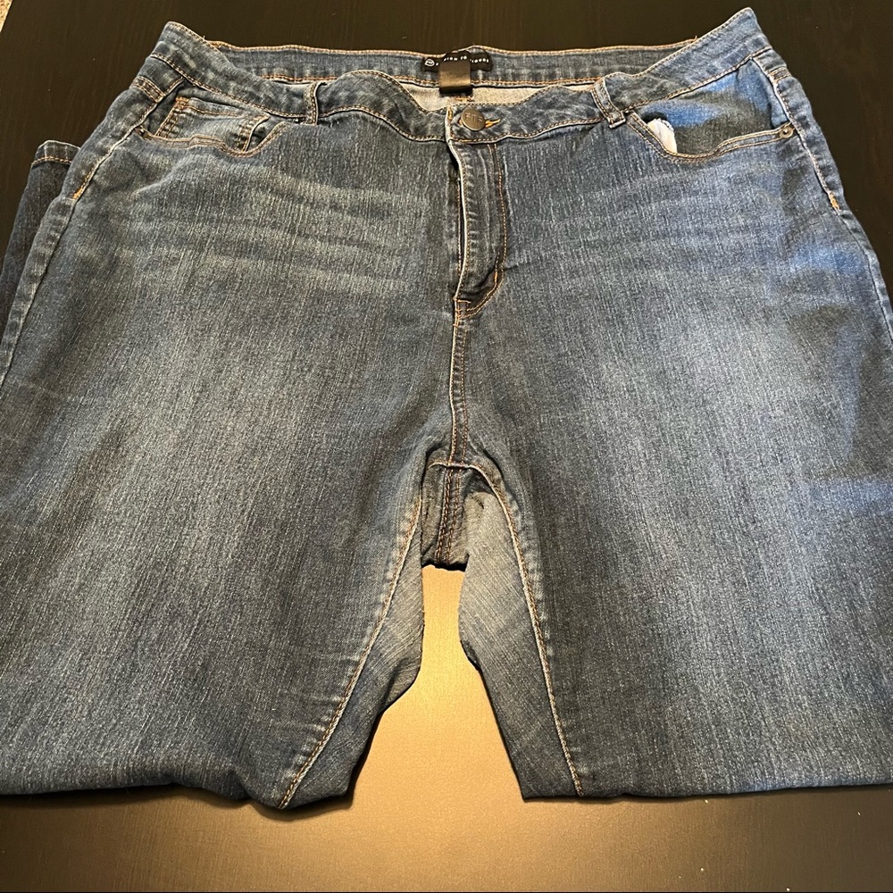 Blue Fashion to Figure Skinny Stretch Jeans, Size 22
